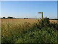 Footpath across arable land in NR29 3JQ