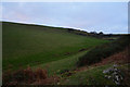 South Hams : Countryside Scenery in TQ7 2ET