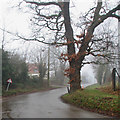 Waldringfield: School Road in winter in IP12 4PZ
