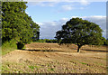 Farmland west of Whitchurch in Shropshire in SY13 3AA