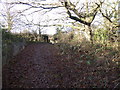 Footpath reaches the B2118 in BN6 9DB