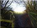Footpath emerges from woodland beside the A23 in BN6 9BN