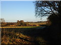 View towards Low Burnham in DN9 2JW