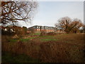 Staines - View from Footpath to Cornwall Way in TW18 2LF