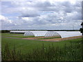 Large Polytunnels at Engine Farm in CB7 4SW