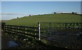 Grassy field east of Blackbyres in G78 1TJ