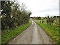 Collingbourne Kingston, farm road in SN8 3SZ