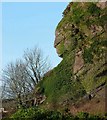 Queen Victoria's Face in Millport