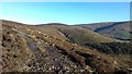 Track on Hazelhurst Fell in Bleasdale