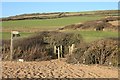 Footpath to Swyre off the south-west coast path in DT2 9DD