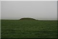 Tumulus near Kingston Russell Stone Circle in DT2 9HS