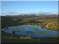 Nameless tarn, Colton Heights in LA12 8HF