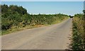 Lane to Pincombe Corner in EX36 3QP