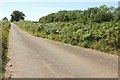 Lane to Webbery Moor Cross in EX36 3QP