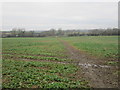 Footpath to Meadow Lane, North Scarle in LN6 9DG