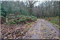 Footpath through woods at High Chart in TN16 2ES