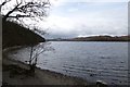 Coniston Water at Machell Coppice in LA21 8AX
