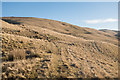 Western slopes of Bald Hill in FK14 7JZ