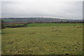 Grazing land below Granary Farm in WF5 8LW