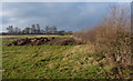Farmland next to the Fosse Way in LE19 2AF