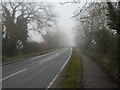 Peakirk Road, Glinton, on a foggy day in PE6 7NB