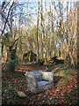 Chair in Blunsdon's Copse in RG17 7BA