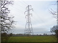 Electricity pylon in field in BN5 9BJ