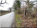 Looking south on Twineham Road from footpath junction in BN6 9JF