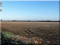 Big ploughed field [2] in BA13 4NL