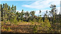 Swamp by unnamed lochan on Creag Ulladail in IV14 9AA