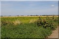View across field in PE38 0AX