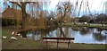Finningley duck pond in DN9 3AA
