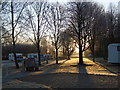 Sunrise at Cirencester Park Caravan Club site in GL7 2EF
