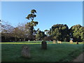 All Saints, Sutton: churchyard (a) in IP12 3DT