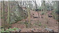 Old Quarry in Gallowsbank Wood in NE46 1JF