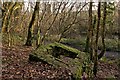 A derelict stone structure in Bickington Wood in EX31 3FJ