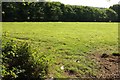 Field south of Tremayle in PL30 5JU