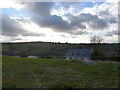 Field and houses seen from Commons Lane in TQ14 0HB