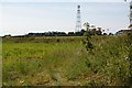 View across field towards communications mast in PE33 9DZ