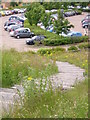 Steps through wildlife meadow in Business Park in SR3 3XN