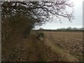 Footpath beside a field of stubble in DN9 3AS