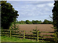 Farmland near Ravensmoor, Cheshire in Ravensmoor