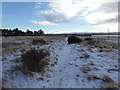 Snowy path to Alness Point in IV17 0XR