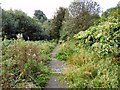Footpath towards Moston Brook in M35 0PD