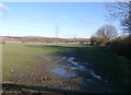 Field and Pylons near Cronk Hill in S71 4AQ