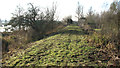 Flood wall, Geldeston Marshes in Geldeston