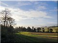 Farmland north of the Ridgeway, approaching Thurle Grange in RG8 9LG
