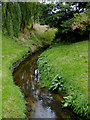Stream by the former mill at Wrenbury, Cheshire in CW5 8HB