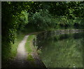 Towpath along the Grand Union Canal in Aldbury and Wigginton Ward