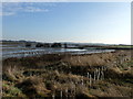 River Colne at Fingringhoe Wick Nature Reserve in CO7 8BQ